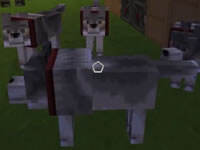 明哥回家记2完结 惨被千人吊打