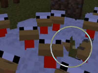 Dear淡雅解说 PE生存求生之路EP12