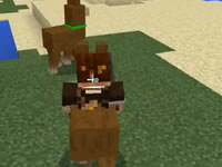 籽岷PE0.16.0最新介绍 更多Addons行为包