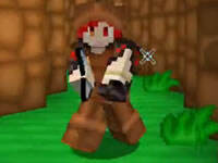 籽岷1.10双人PVP炎岷大乱斗 超级马里奥