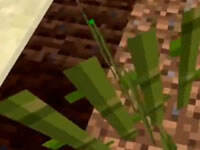 PE版0.16纯净生存9 种点西瓜