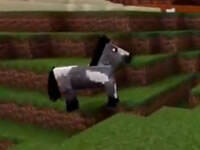 PE版0.16纯净生存10 小白马