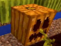 PE版0.16纯净生存13 栓绳和马厩