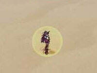 崩坏3外传记忆线任务怎么完成 潜行刺杀5个敌人攻略