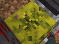 明月庄主惊天矿工团第2局 奇袭夫妻队