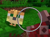 PE版0.16纯净生存27 训猫奇遇记