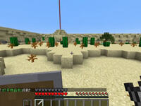 籽岷的1.11PVE小游戏 沙漠Desert