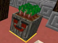 大海解说 圣诞节夺宝大战