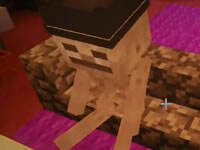 籽岷的1.11双人解谜 寻找生日礼物