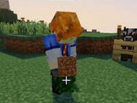 方块学园领域服番外篇 凯麒去了女厕