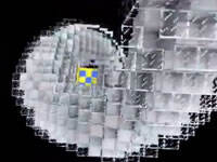 PE版美国跳楼游戏4 倒立的世界