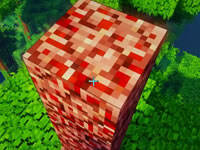 籽岷的方块宝可梦多模组生存6