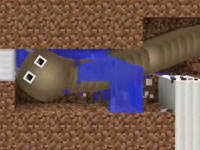 小楓恐怖大蠕蟲 這游戲太喪心病狂