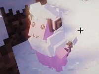 籽岷的方块宝可梦多模组生存12