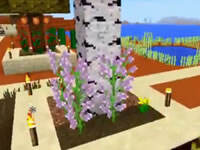 哲爷和成哥PE版1.0生存1 小黑和末影珍珠