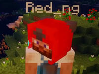 籽岷的方块宝可梦多模组生存13