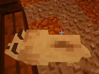 天骐躲猫猫小游戏9 小鸡反击战