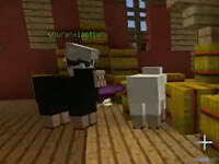 天骐躲猫猫小游戏16 小天躲的真好