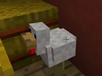 天骐躲猫猫小游戏18 我是最后一只鸡