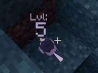 籽岷的方块宝可梦多模组生存14