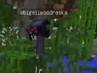 天骐死神跑酷12 小天终于完成了比赛