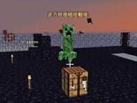 悠然小天我的世界钻石大陆变态生存20