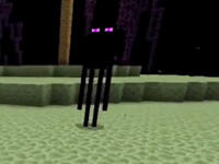 哲爷和成哥PE版1.0生存9 消失的折跃门