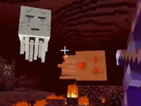 哲爷和成哥PE版1.0生存10 恶魂之泪