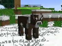 扁桃魔戒冒险Ep1 遇到高僧