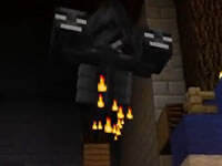 籽岷的1.8双人PVP游戏：饥饿游戏29