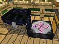 扁桃虚无世界冒险ep8 初探月球