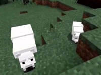 哲爷和成哥PE版雪原生存1 北极熊父子