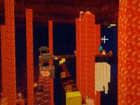 籽岷1.8双人模组 奇星记幸运方块大冒险下