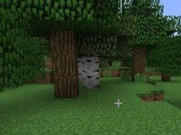 不用担心物品栏不够用 1.7.10双重物品栏Mod