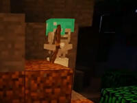 籽岷1.11多人主题生存无限重生7