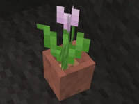 籽岷的1.8中型解谜 脱离黑暗Ep1