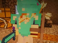 籽岷1.11多人主题生存无限重生9