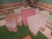 大橙子海底两万里P4 难哭了