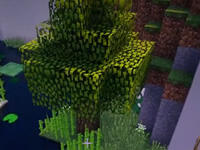 籽岷的1.11多人新春跑酷 跑酷天堂3