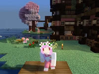 五歌妹子庄园4周目9 帮橙子喂了两只鸡！