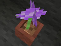 籽岷的1.8中型解谜 脱离黑暗2