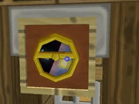 扁桃爆笑解密 扁桃和李奶奶故事