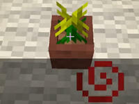 籽岷的1.8中型解谜 脱离黑暗3