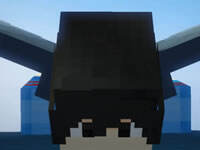 悠然小天我的世界鞘翅大作战3