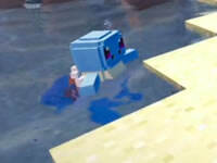 翔麟宝可梦服务器1 停不住捕捉