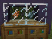 梦轩PE版创意学堂 制作美丽的鱼缸