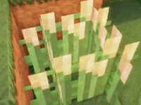 我的世界中华小五歌1 食神的新生