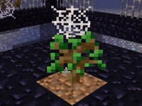 领域服将加入我的世界手机版和WIN10 支持跨平台