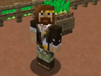 籽岷服务器小游戏 农场之王