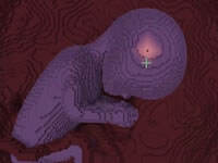 悠然小天万有引力小游戏Ep7 巨婴DNA